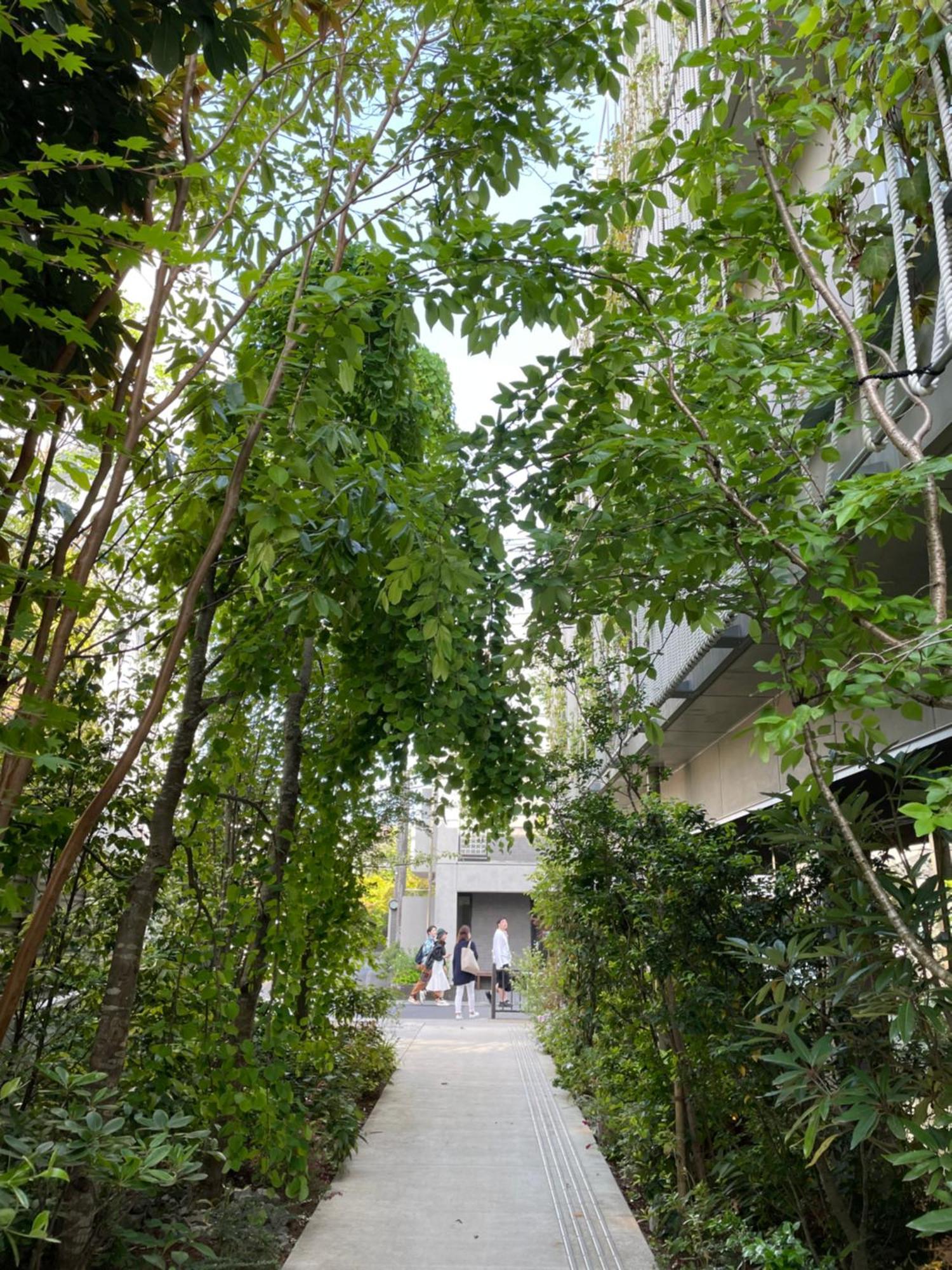 Hotel Kamakura Seizan Exterior foto
